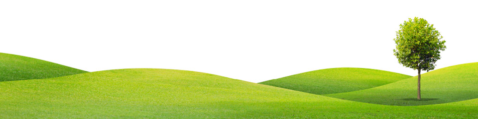 Гm݃T[rX